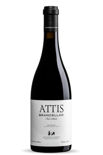 [4684] VINO ATTIS BRANCELLAO 2019 750 ML